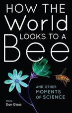How the World Looks to a Bee