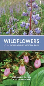 Wildflowers of the Indiana Dunes National Park