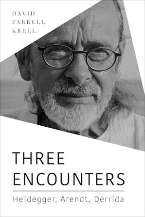 Three Encounters: Heidegger, Arendt, Derrida Book Cover
